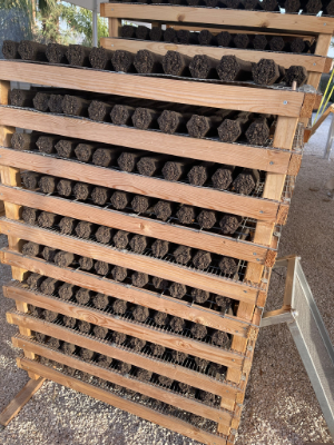 OliveHeat briquettes on drying racks showing storage efficiency